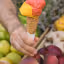 A vibrant image showcasing a two-scoop ice cream cone, held by a hand. The scoops feature distinct red/pink and yellow/orange colors, suggesting fruit flavors. The ice cream and cone are sharply in focus, while the background, which includes blurred elements like fruits and foliage, adds contextual depth without distracting.