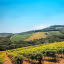 A vibrant and well-composed landscape photo showcasing rolling hills covered in lush vineyards under a clear blue sky.